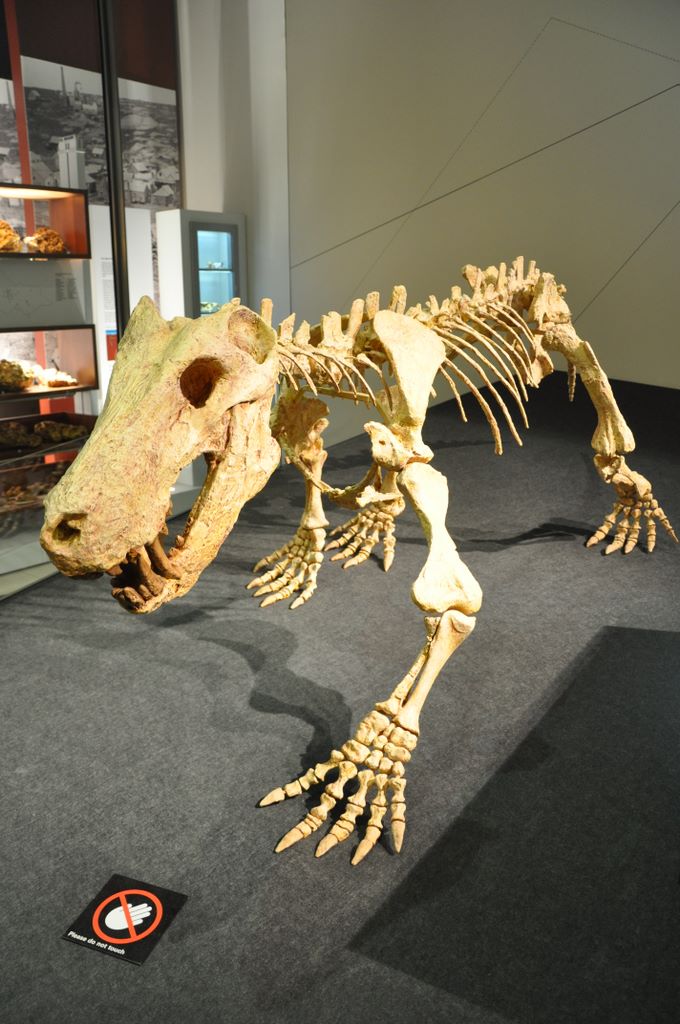 Inostrancevia Alexandri